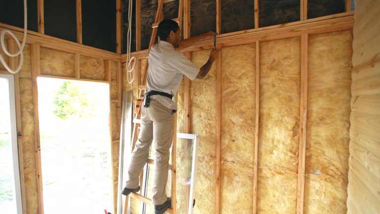 Trusted Lineville, AL Insulation Installation & Removal Experts